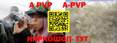 молекула духа Кингисепп