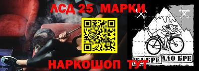 молекула духа Кингисепп