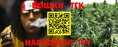 молекула духа Кингисепп