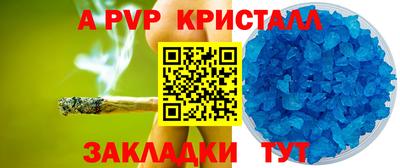 молекула духа Кингисепп