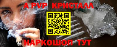 молекула духа Кингисепп