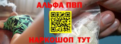 молекула духа Кингисепп